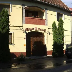 Matyas Panzio Frühstückspension Szegedin
